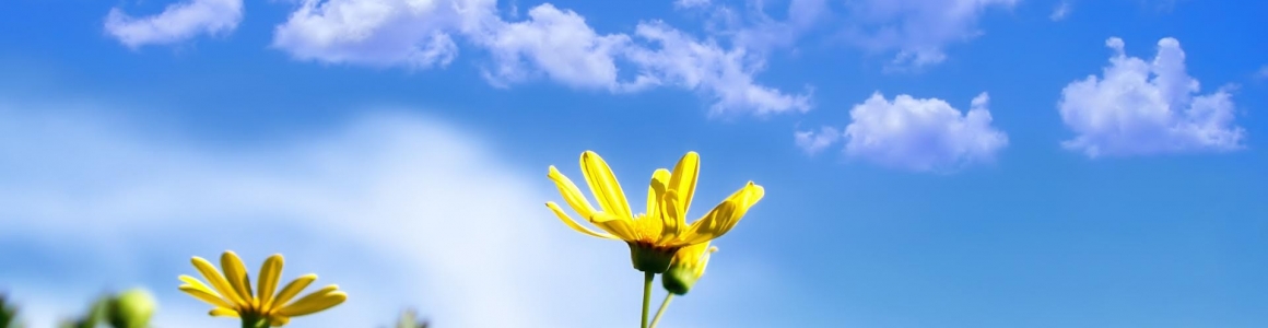 Leave your spring cleaning to April Fresh Leave your spring cleaning to April Fresh